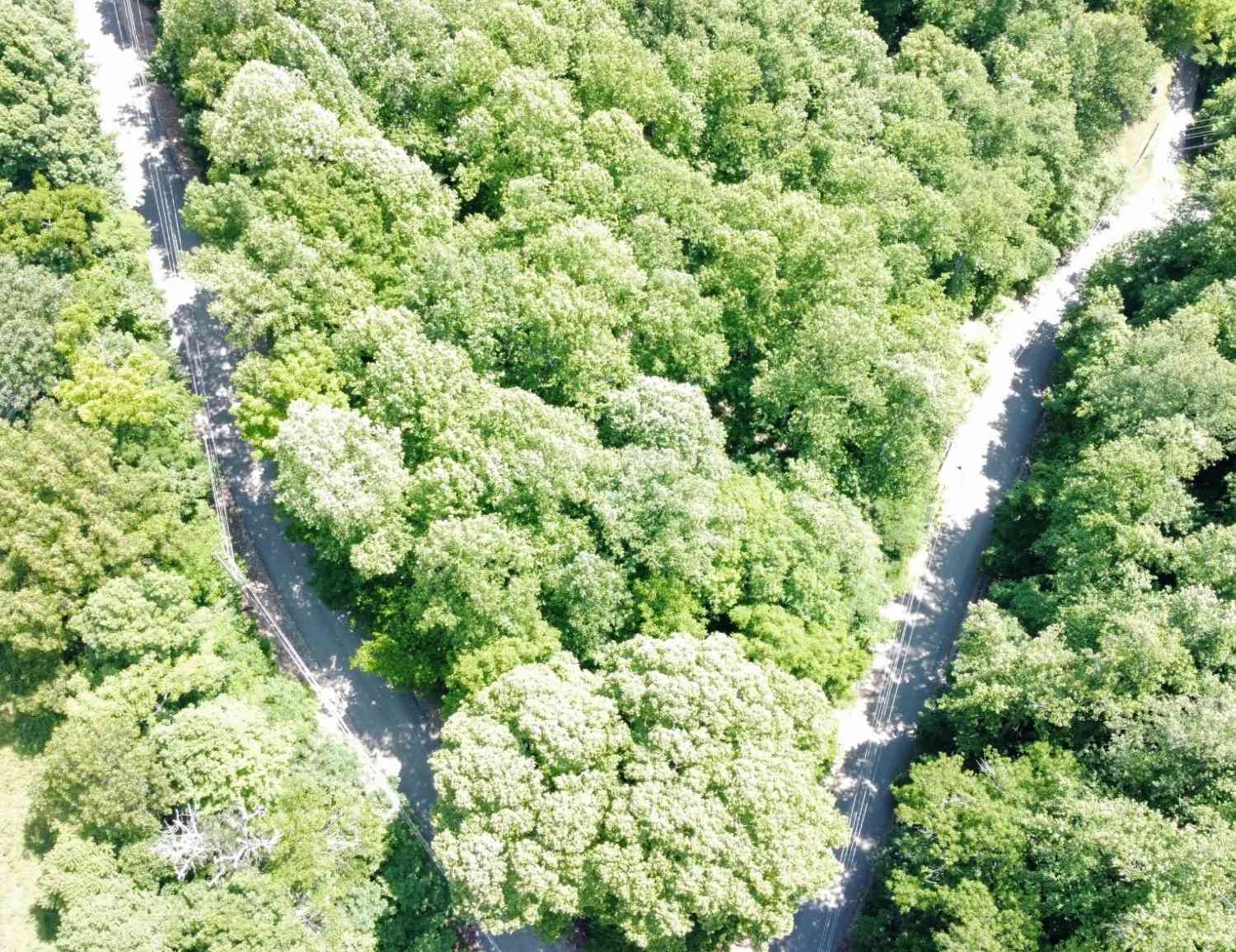 Vacant Land For Sale - Bayside Dr<br/> Lancaster, TN 38569