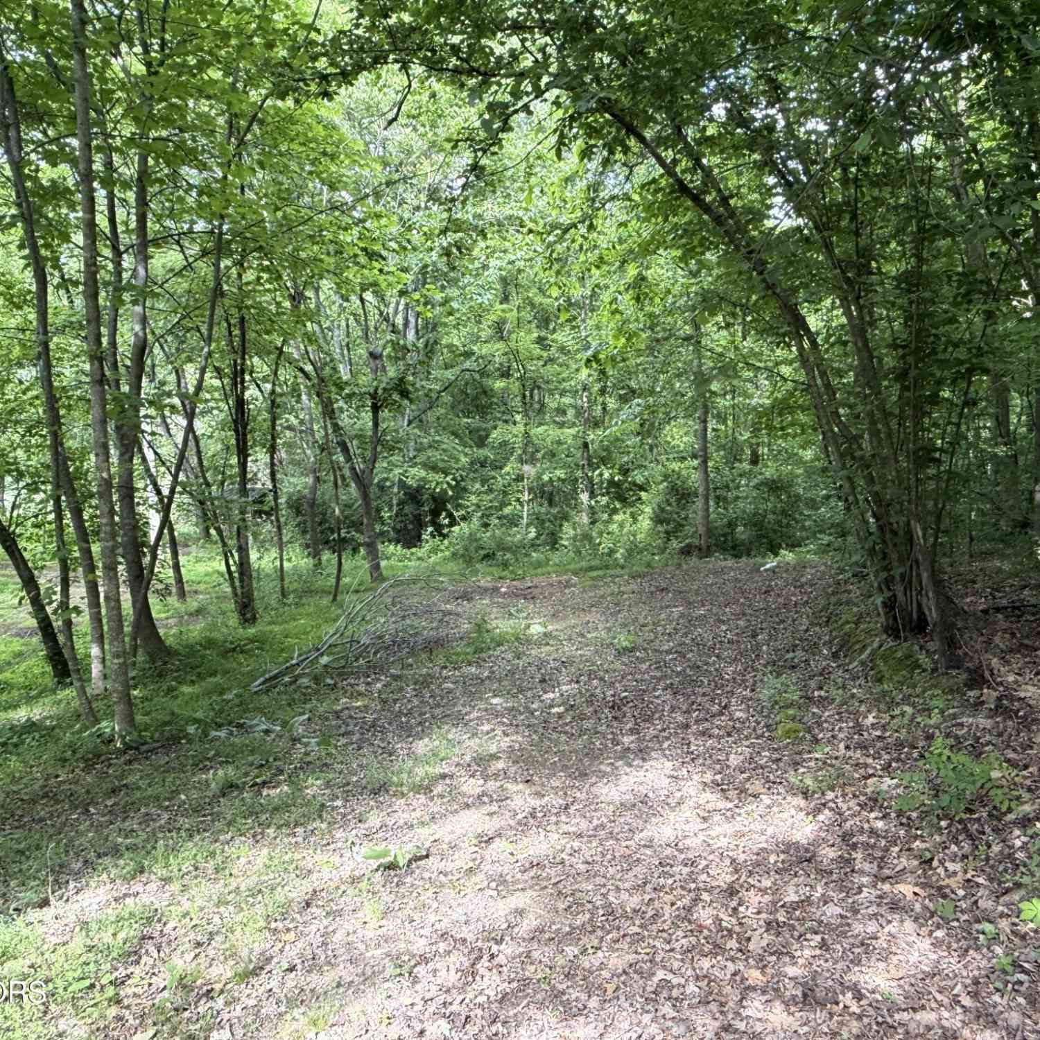 Vacant Land For Sale - 316 Wiley Town Rd<br/> Newport, TN 37821