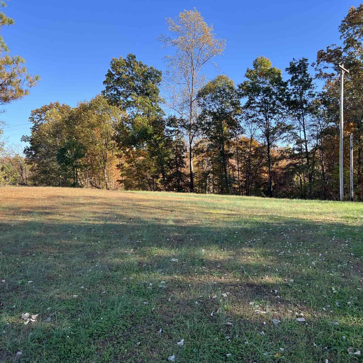 Vacant Land For Sale - Oak Grove Rd<br/> Macon County, Red Boiling Springs, TN 37150