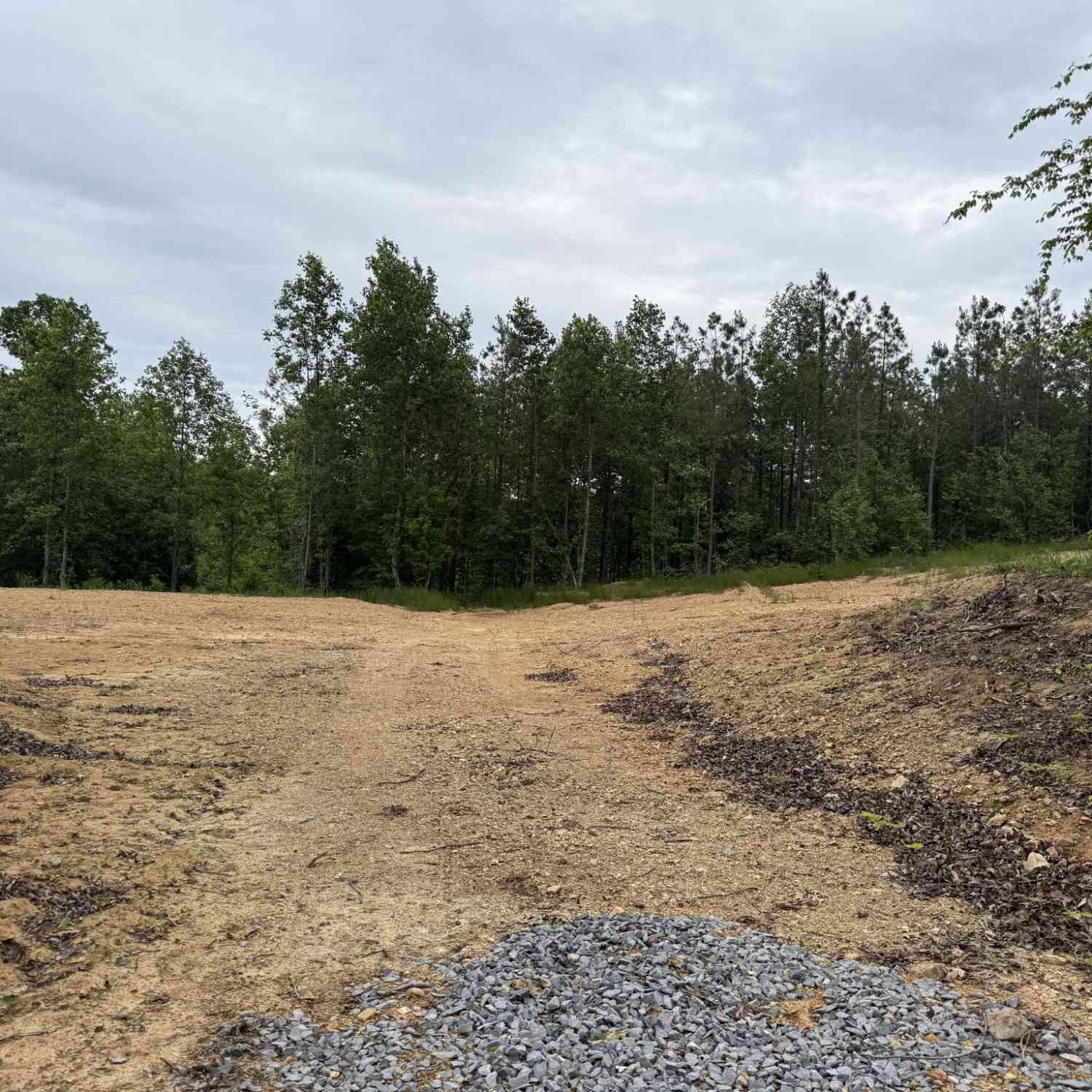 Vacant Land For Sale - 3047 Hwy 231<br/> Erin, TN 37061