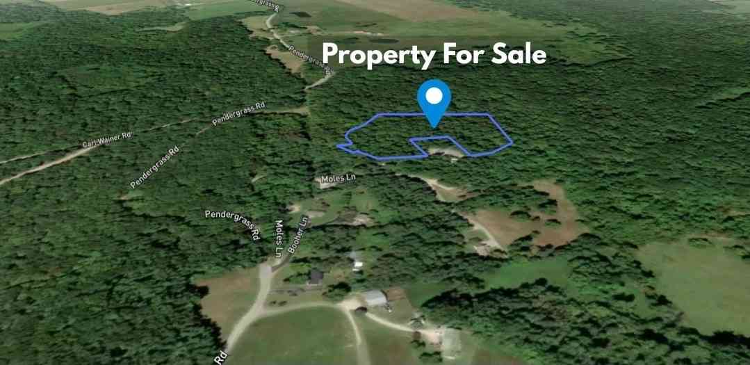 Vacant Land For Sale - 1 Moles Lane<br/> Byrdstown, TN 38549