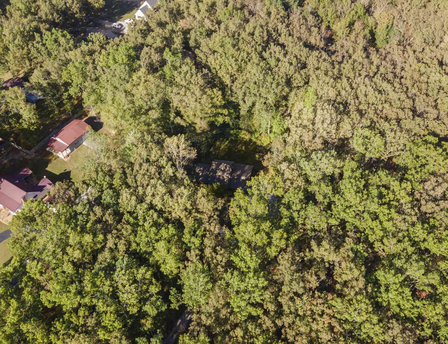 Vacant Land For Sale - Belmont Rd<br/> Coffee County County, Manchester, TN 37355