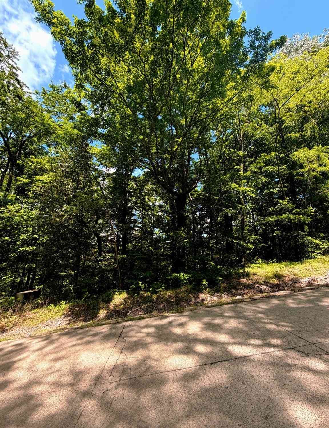 Vacant Land For Sale - 33 Swiper Dr<br/> Dekalb County, Smithville, TN 37166