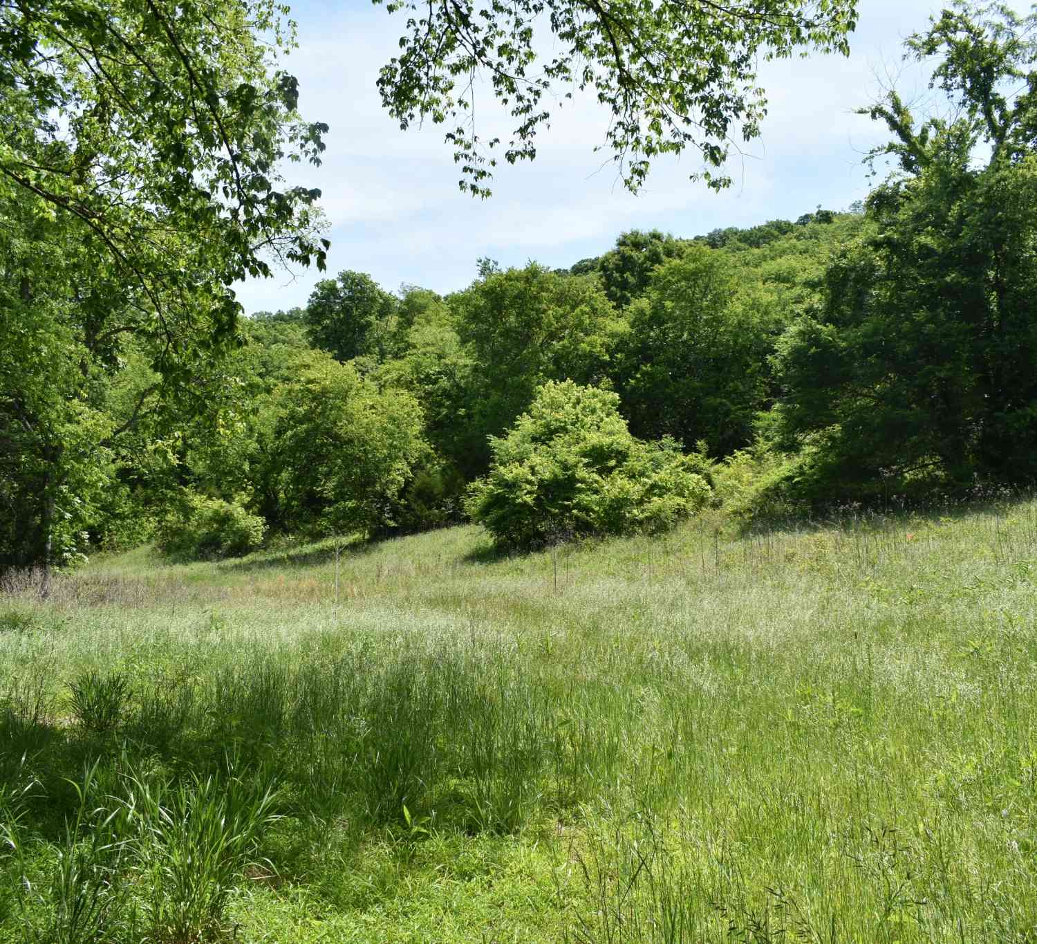 Vacant Land For Sale - Brooks Bend Lane<br/> Gainesboro, TN 38562