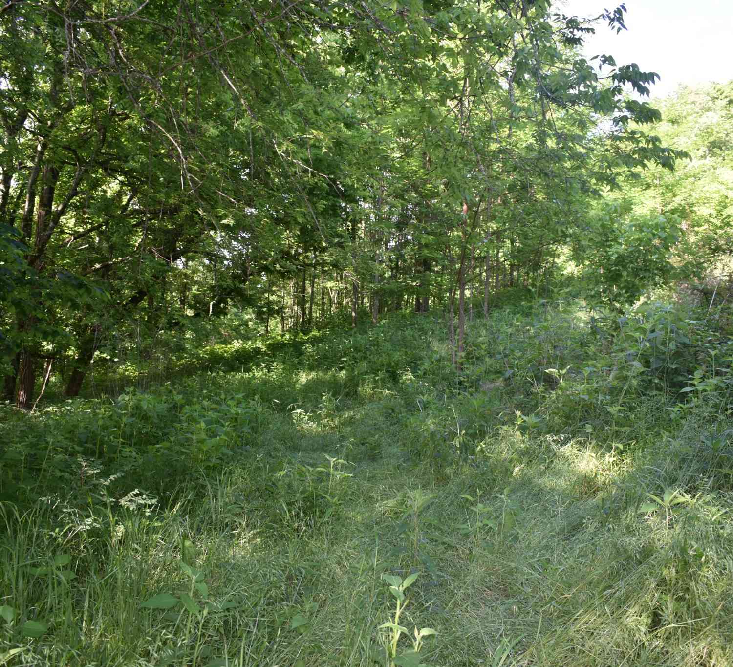 Vacant Land For Sale - Brooks Bend Lane<br/> Gainesboro, TN 38562