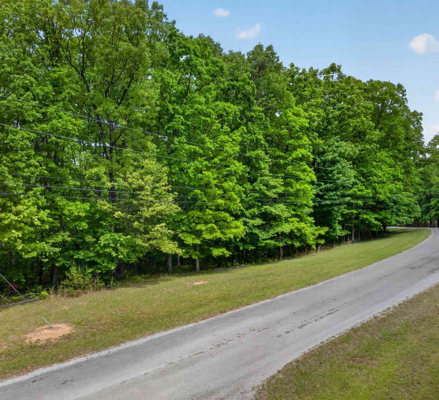 Vacant Land For Sale - Crest Rd<br/> Monterey, TN 38574