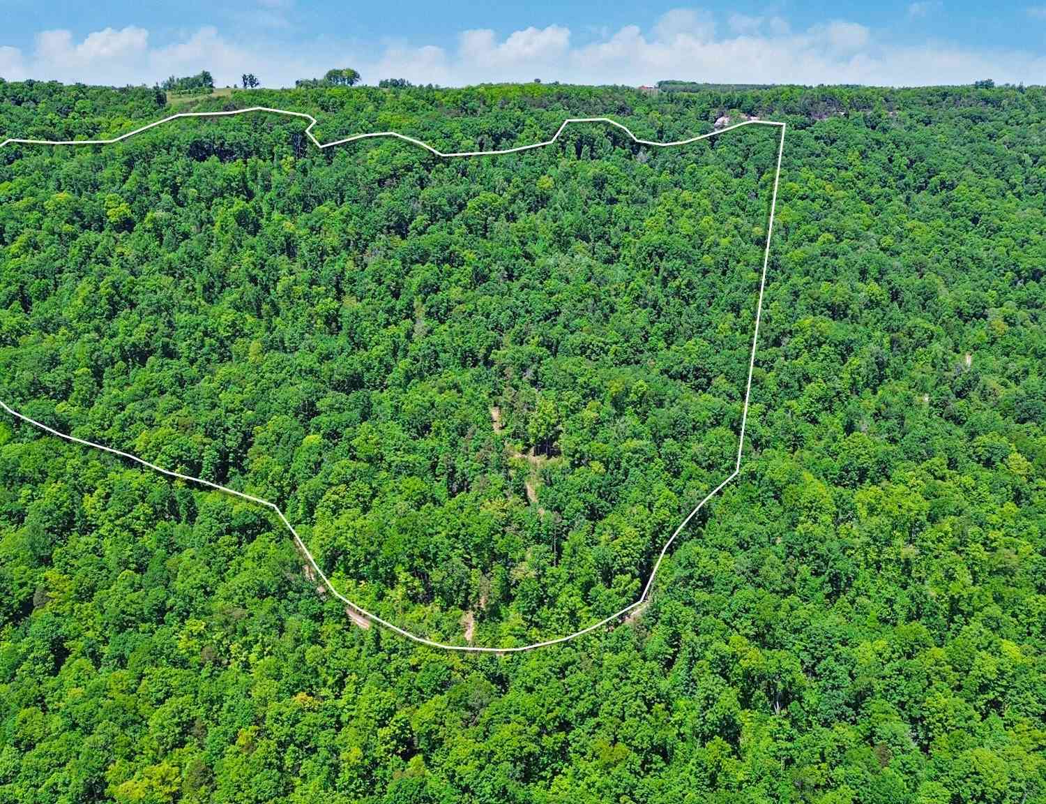 Vacant Land For Sale - Junaluska Hwy<br/> Fentress County, Jamestown, TN 38556