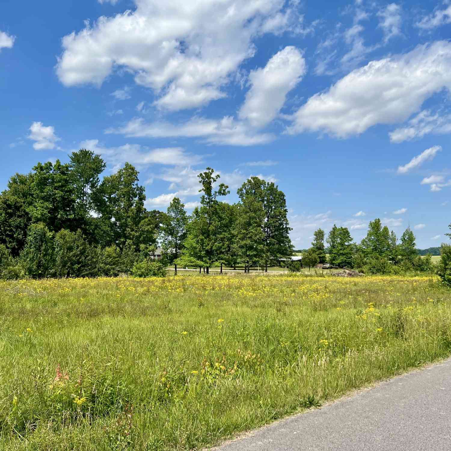 Vacant Land For Sale - Salem Lane<br/> Lawrence County County, Lawrenceburg, TN 38464
