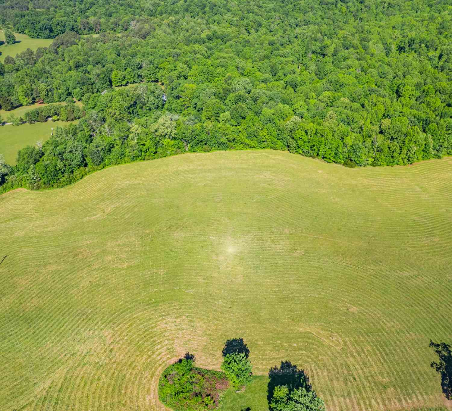 Vacant Land For Sale - Sylvia Rd<br/> Dickson County County, Dickson, TN 37055
