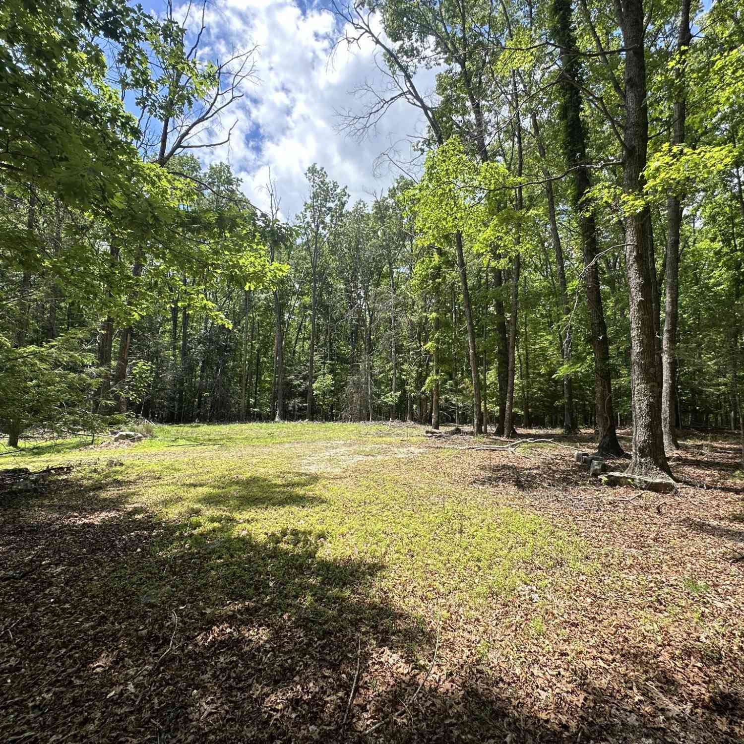 Vacant Land For Sale - 1911 Hickory Pl<br/> Monteagle, TN 37356