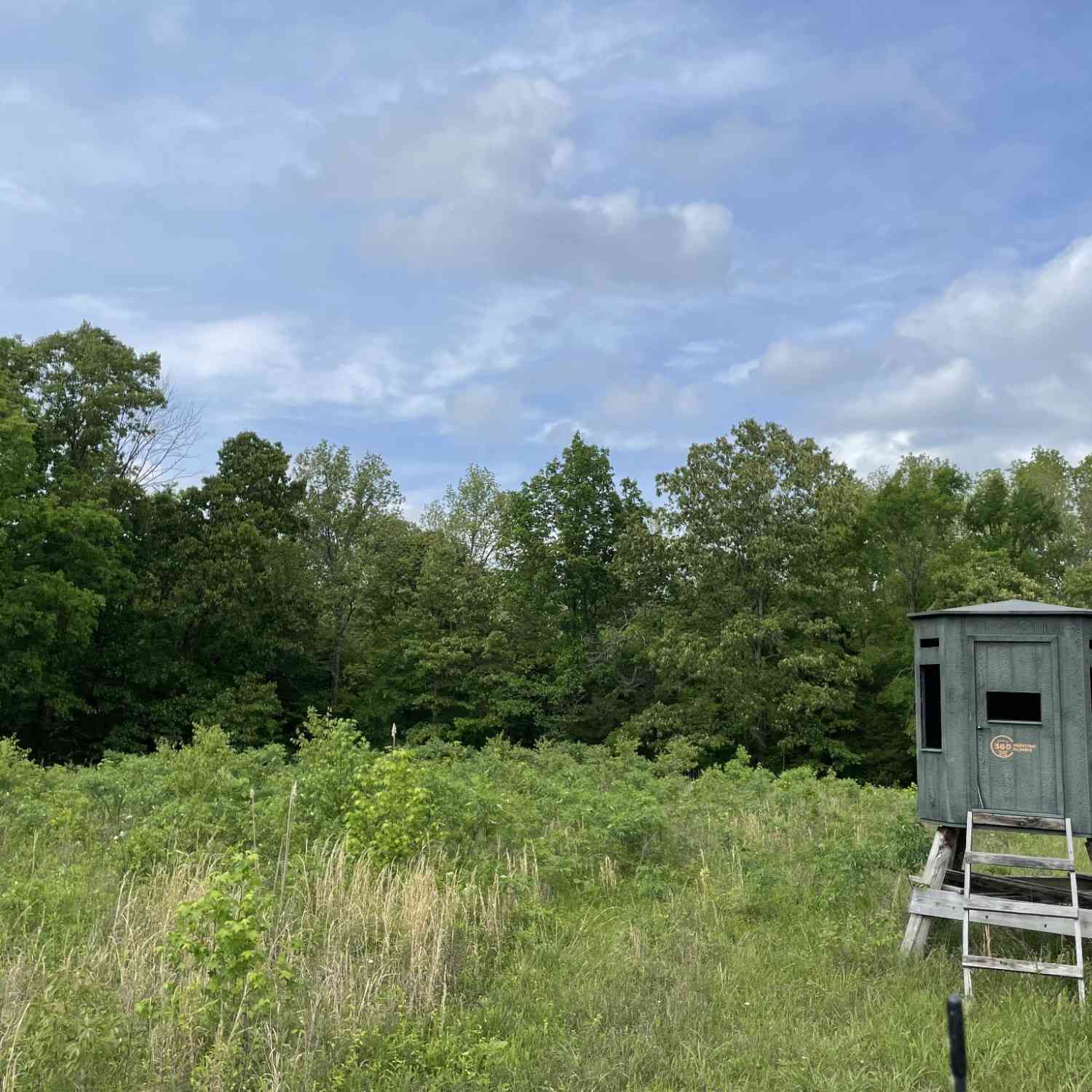 Vacant Land For Sale - Kizer Ridge Road<br/> Erin, TN 37061