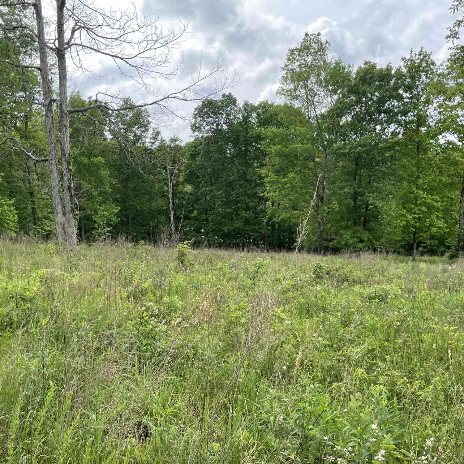 Vacant Land For Sale - 208 W Richview Rd<br/> Stewart County County, Cumberland City, TN 37050