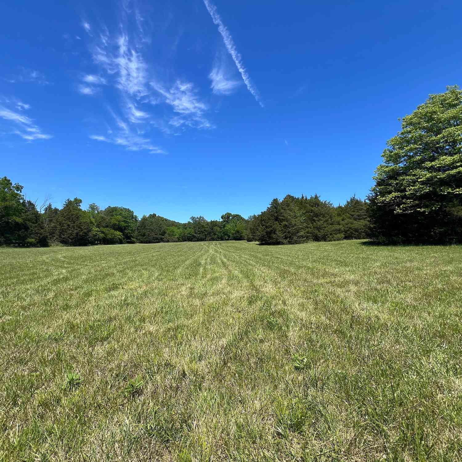 Vacant Land For Sale - 2825 Oregon Rd<br/> Milton, TN 37118