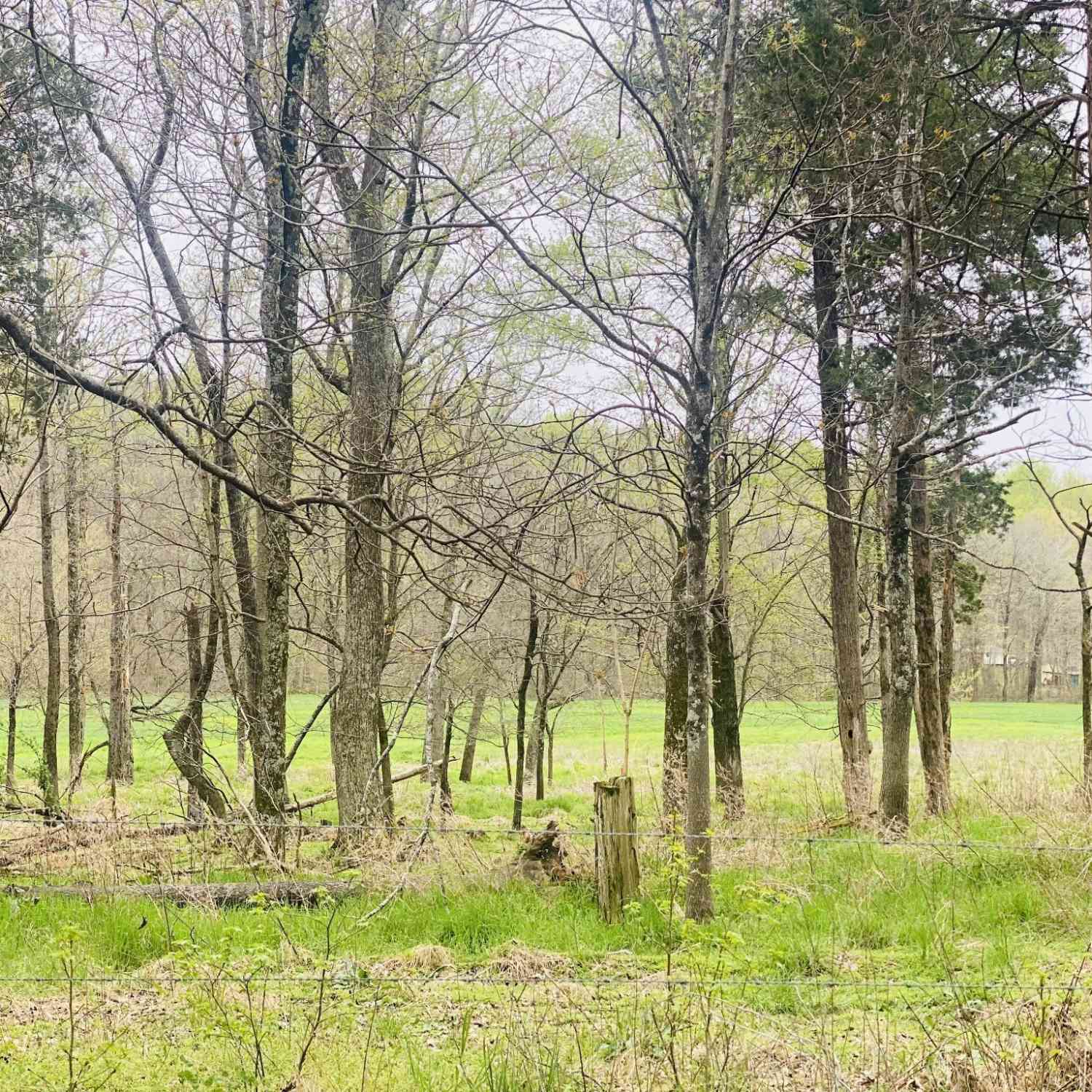 Vacant Land For Sale - Thomasville Rd<br/> Chapmansboro, TN 37035