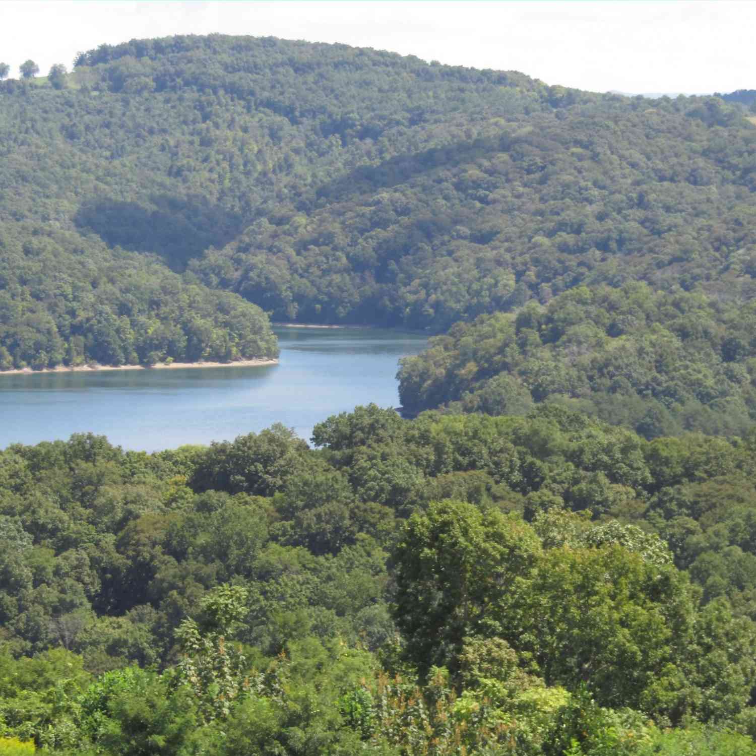 Vacant Land For Sale - 48 Swan Ridge Rd<br/> Hilham, TN 38568