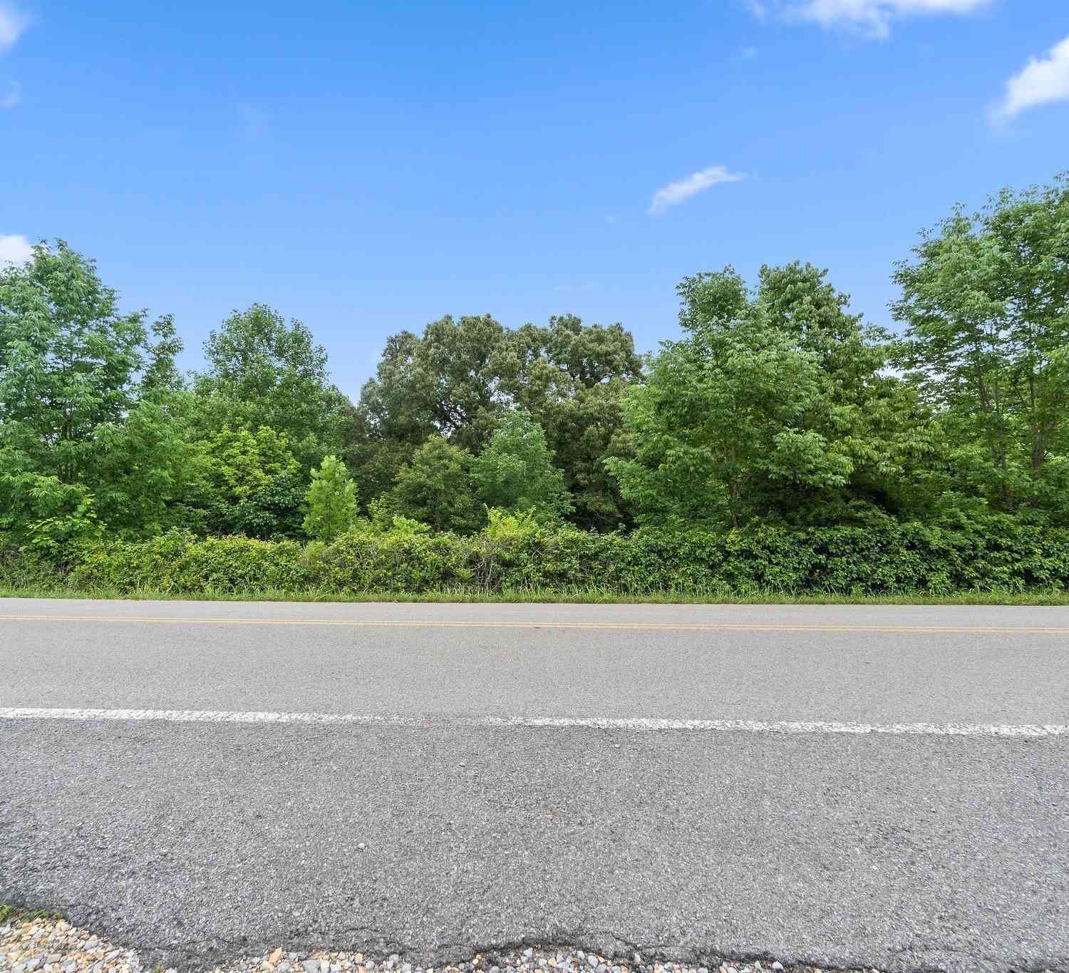 Vacant Land For Sale - Jim Kim Rd<br/> Cunningham, TN 37052