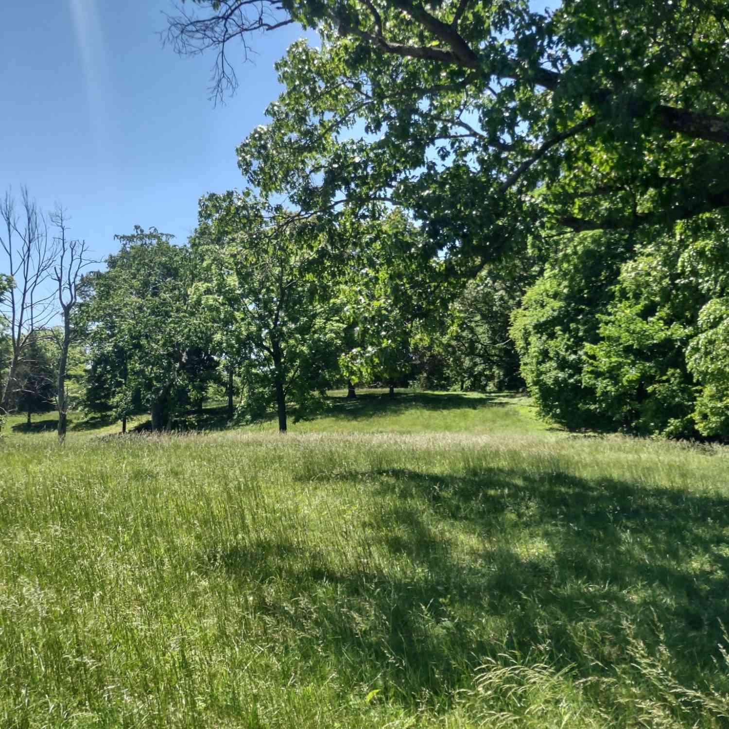 Vacant Land For Sale - 3 Valley Rd<br/> Robertson County County, Springfield, TN 37172
