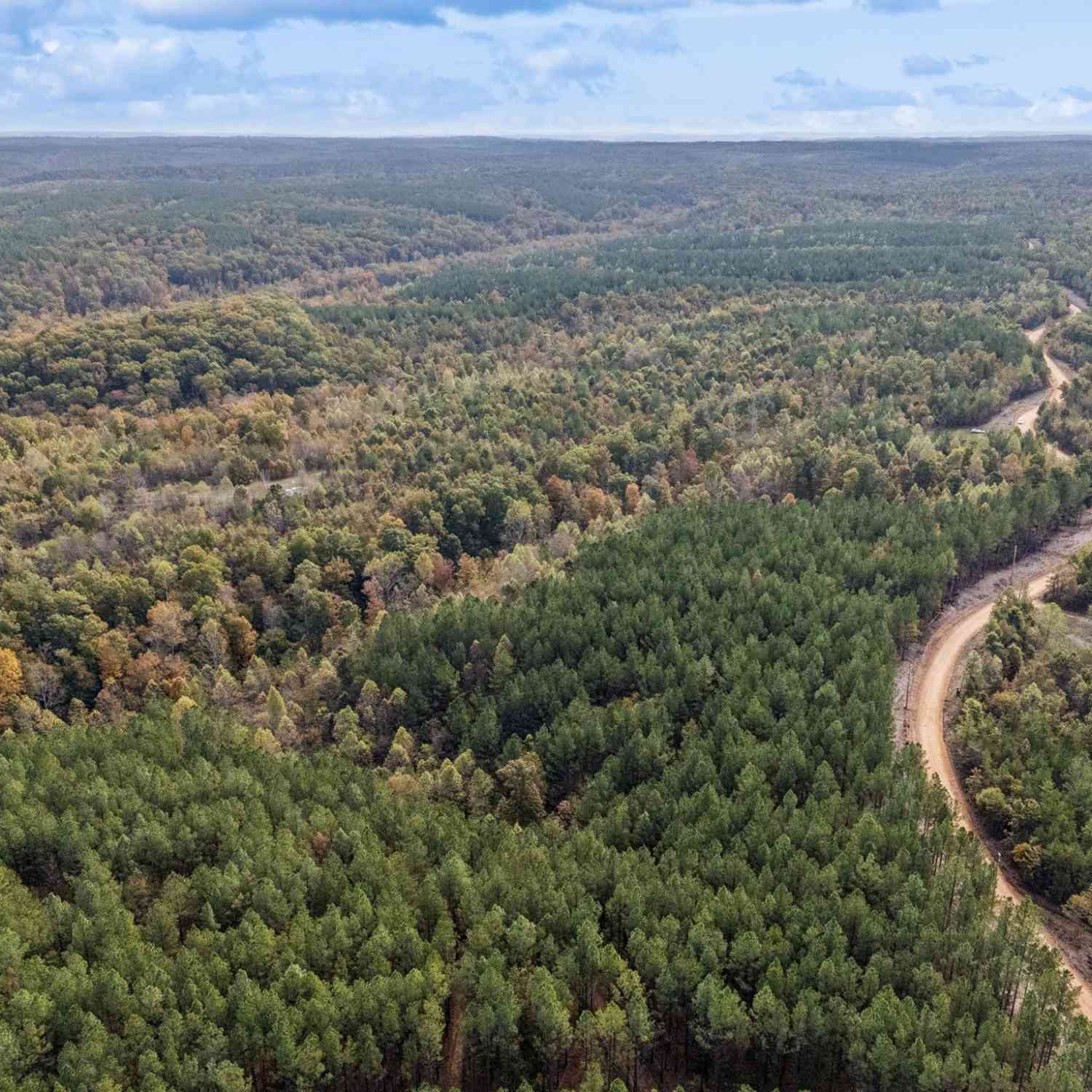 Vacant Land For Sale - Old Mail Road<br/> Duck River, TN 38454