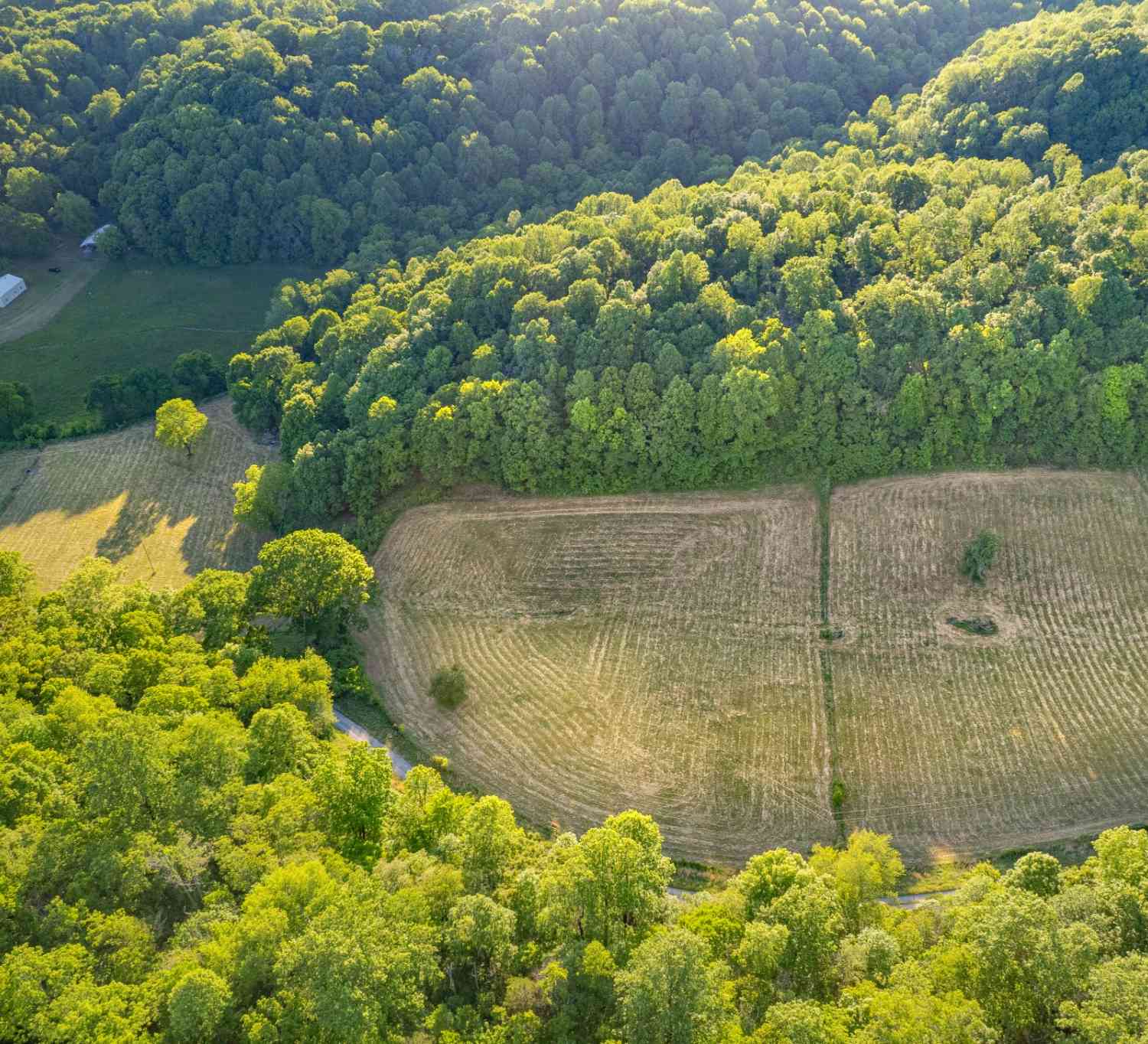 Vacant Land For Sale - 6 Young Rd<br/> Giles County County, Pulaski, TN 38478