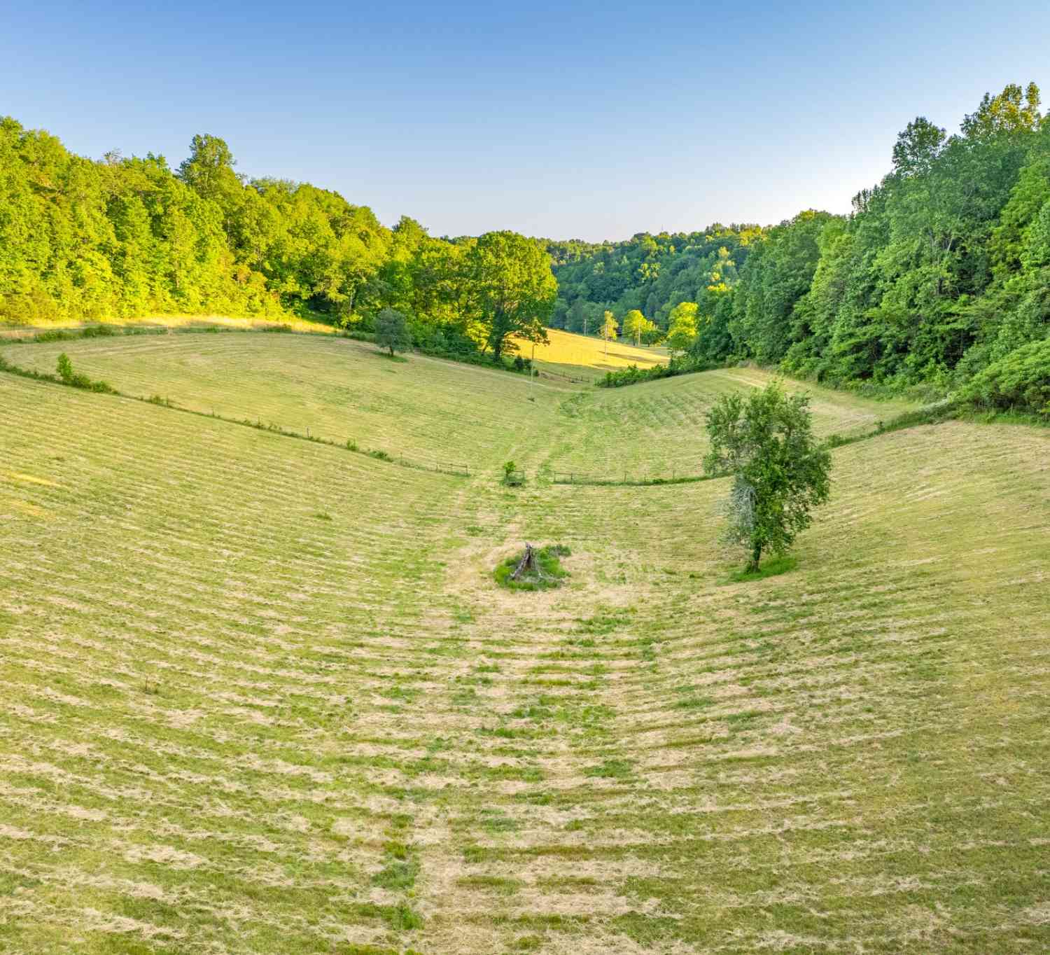 Vacant Land For Sale - 6A Young Rd<br/> Giles County County, Pulaski, TN 38478