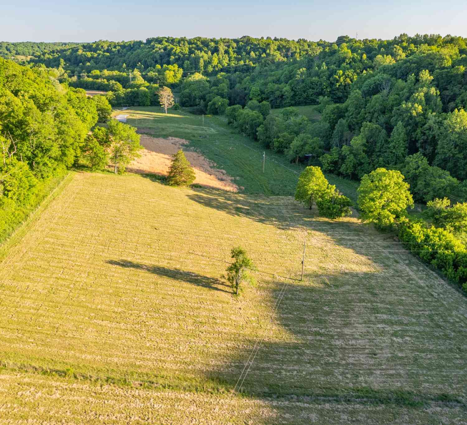 Vacant Land For Sale - 5 Young Rd<br/> Giles County County, Pulaski, TN 38478