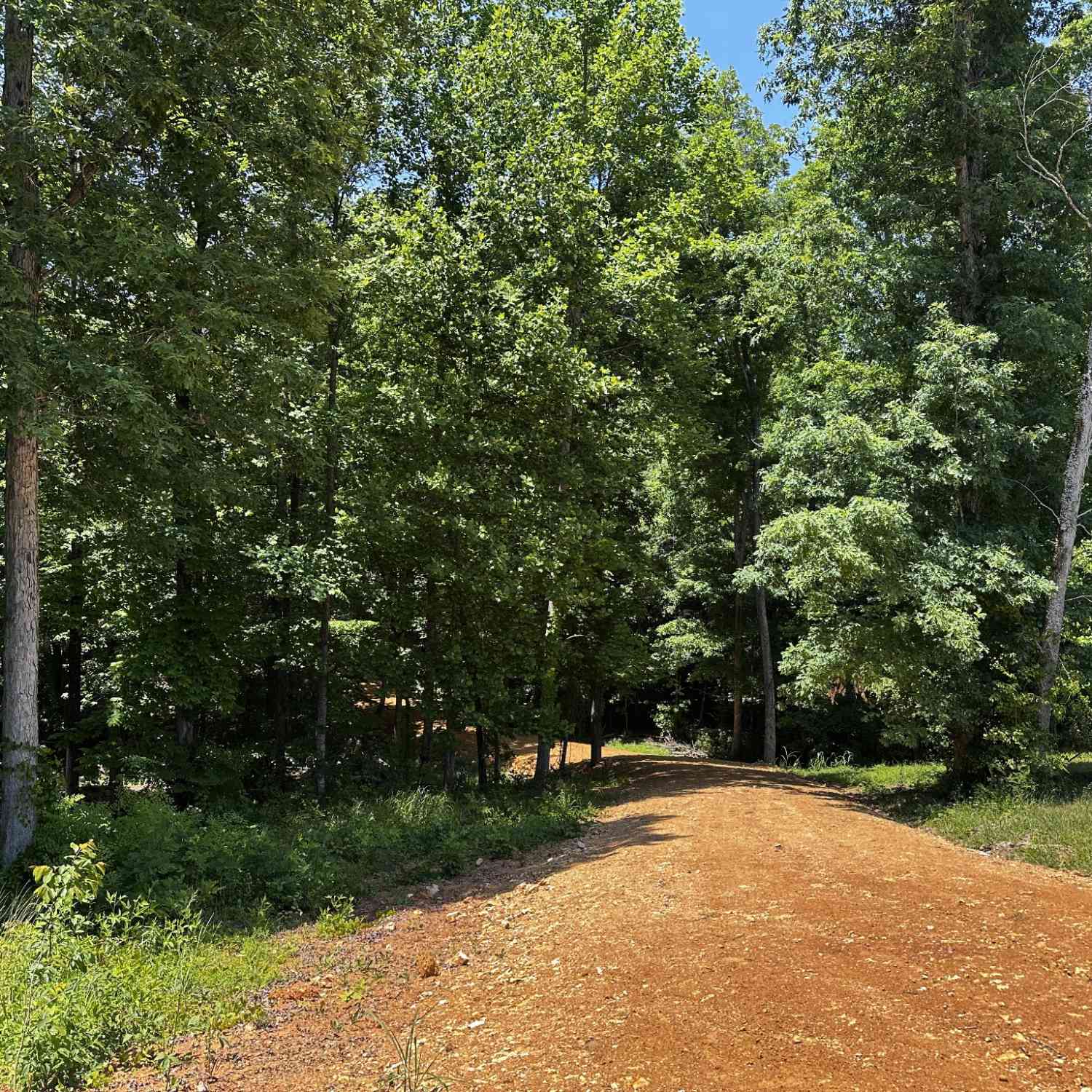 Vacant Land For Sale - Littrell Road<br/> Lawrence County County, Loretto, TN 38469