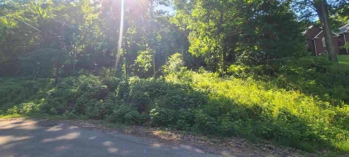 Vacant Land For Sale - 4180 Creek Trail Dr<br/> Whites Creek, TN 37189