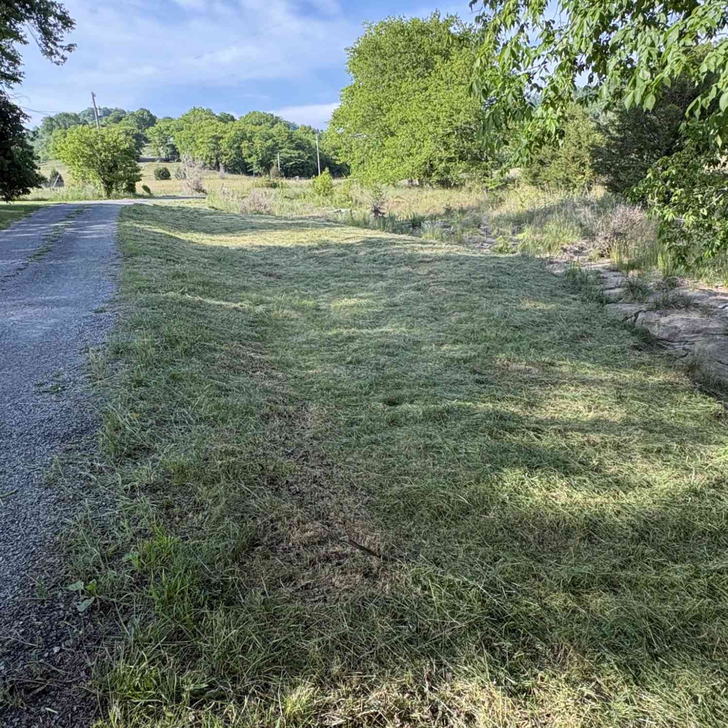 Vacant Land For Sale - Duke Hollow Road<br/> Carthage, TN 37030