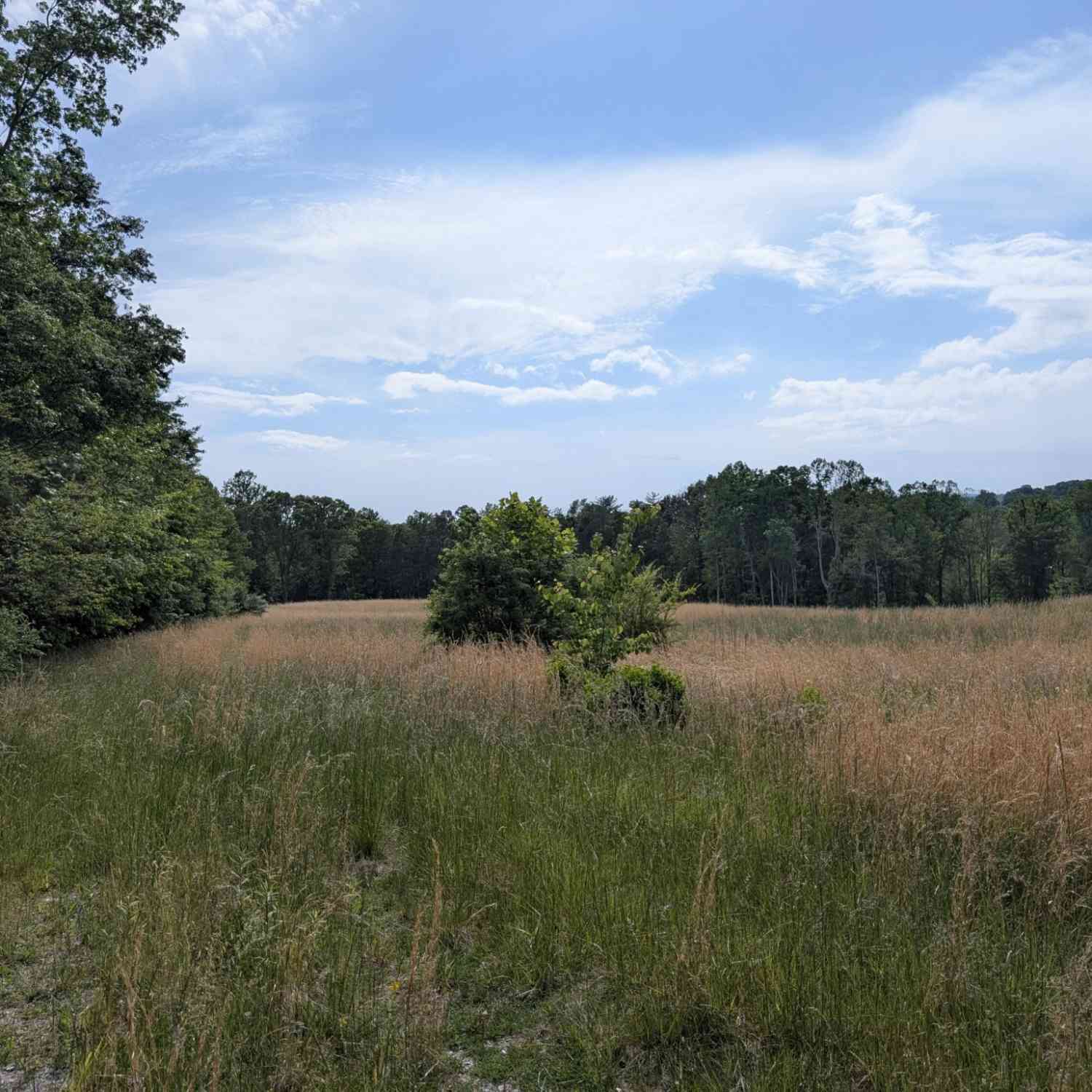 Vacant Land For Sale - 1615 Burdette Road<br/> Grandview, TN 37337