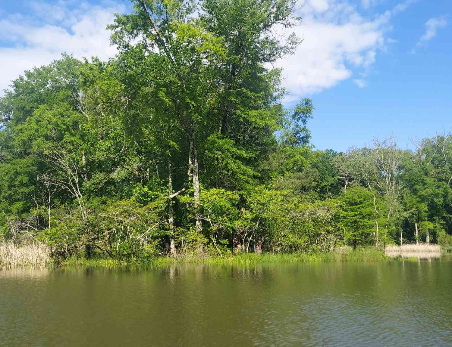 Vacant Land For Sale - 45 Warren Lane<br/> Decatur, TN 37322
