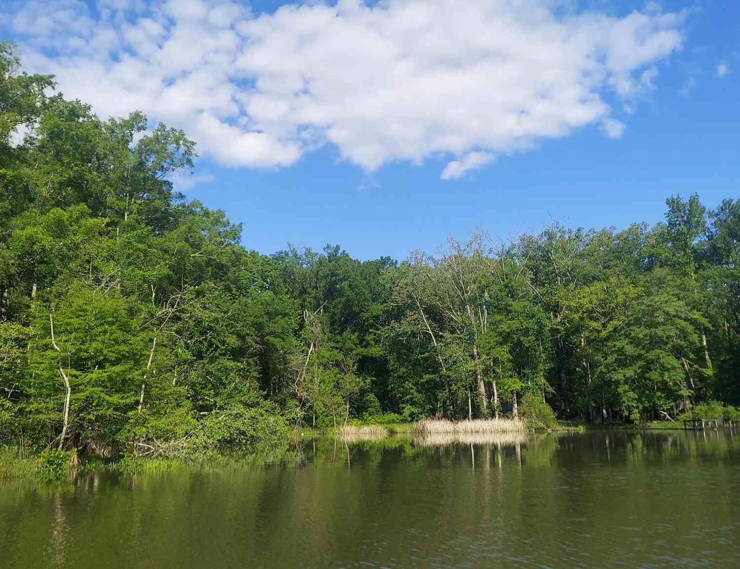 Vacant Land For Sale - 4 Warren Lane<br/> Decatur, TN 37322