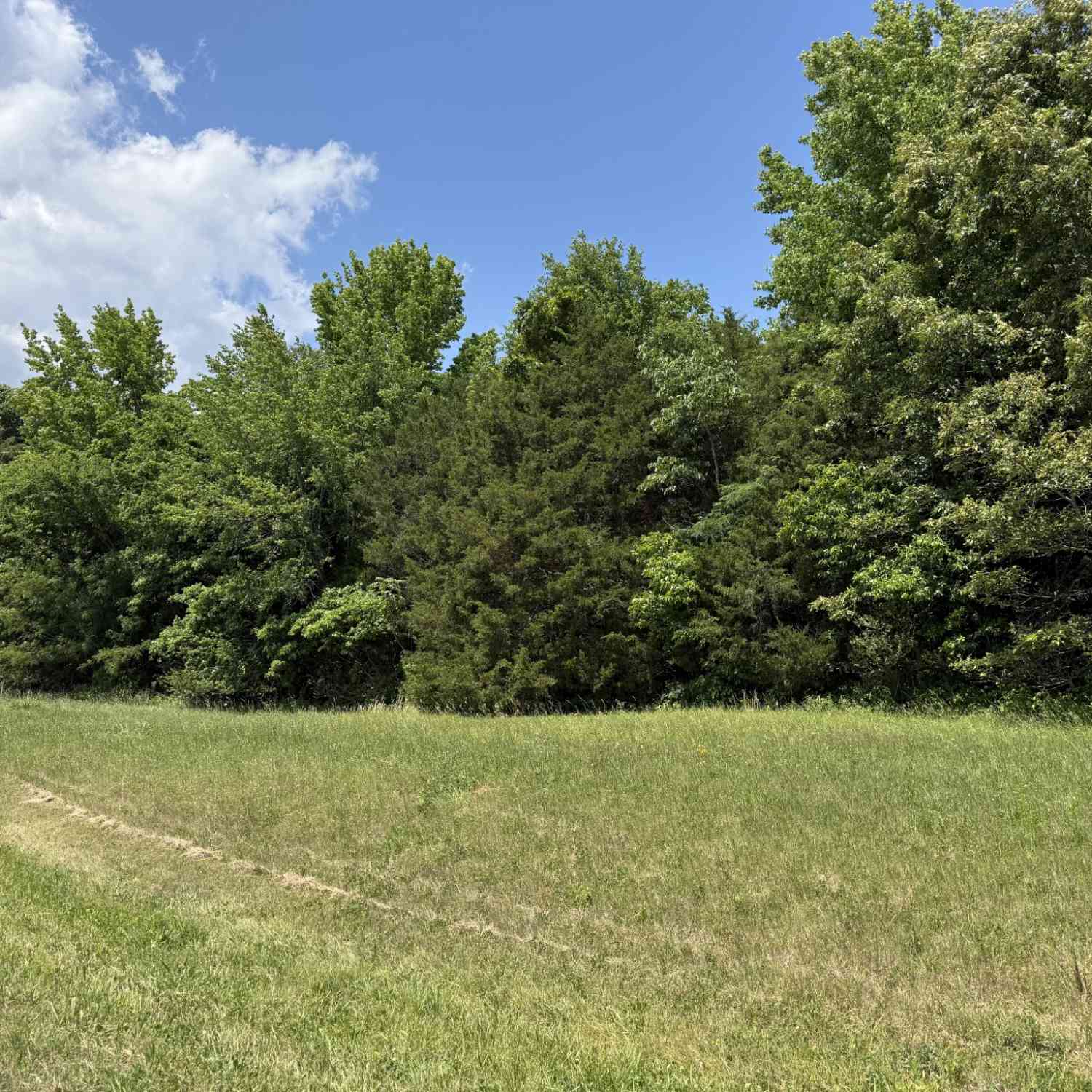 Vacant Land For Sale - Kasserman Switch Rd<br/> Franklin County County, Belvidere, TN 37306