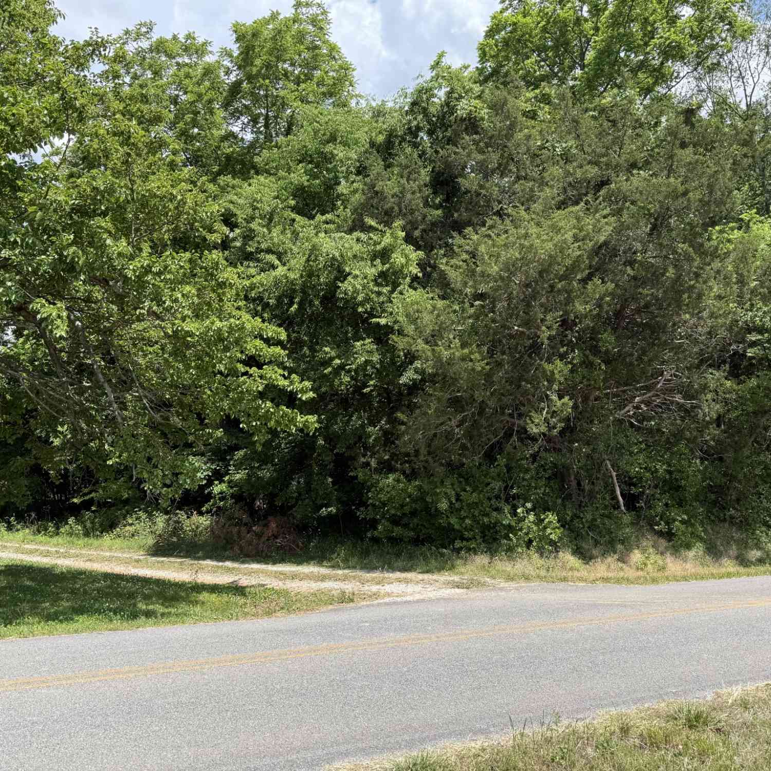 Vacant Land For Sale - Kasserman Switch Rd<br/> Franklin County County, Belvidere, TN 37306
