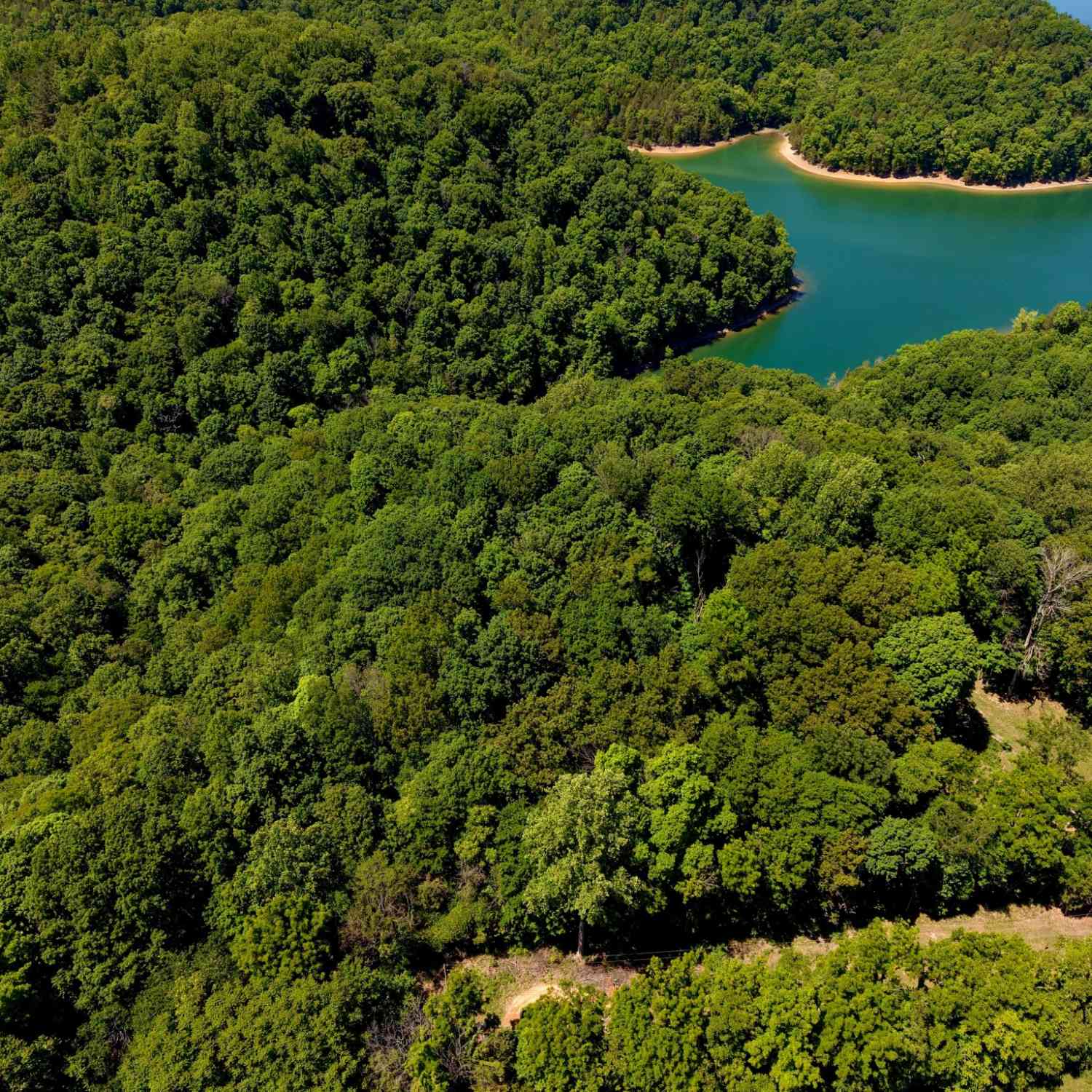Vacant Land For Sale - Charlie Melton Rd<br/> Allons, TN 38541
