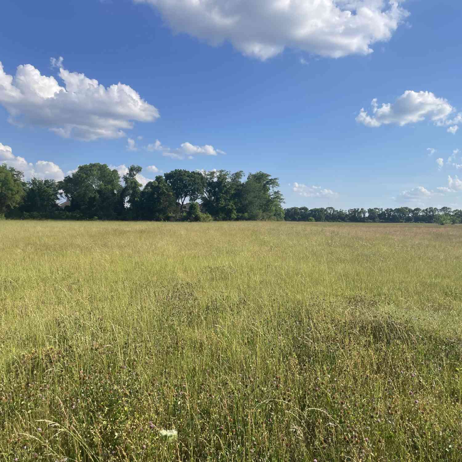 Vacant Land For Sale - 4447 Manson Pike<br/> Murfreesboro, TN 37129