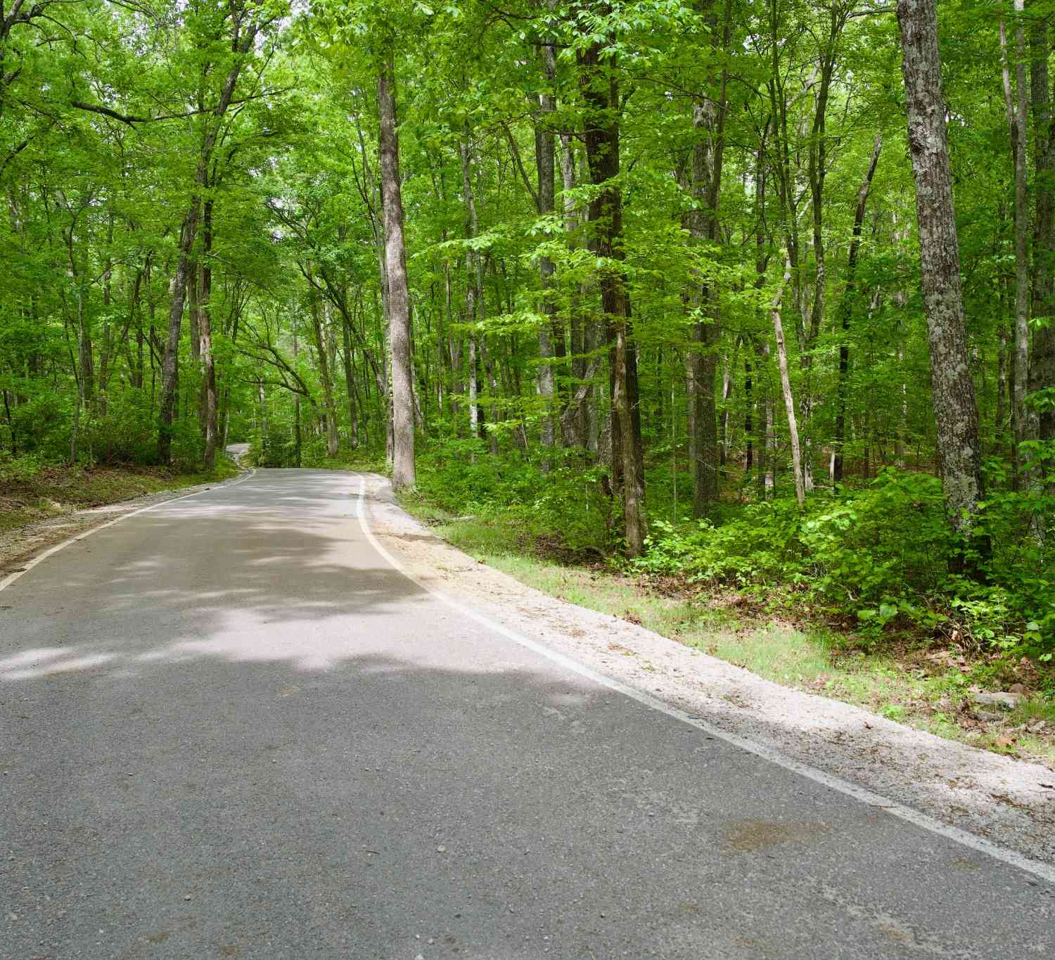 Vacant Land For Sale - Hills Cemetery Rd<br/> Spencer, TN 38585