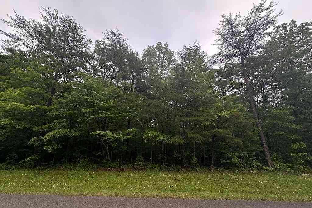 Vacant Land For Sale - Cumberland Lakes Dr<br/> Monterey, TN 38574