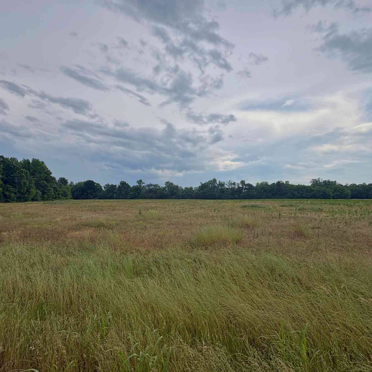 Vacant Land For Sale - Duncan Rd<br/> Coffee County County, Manchester, TN 37355