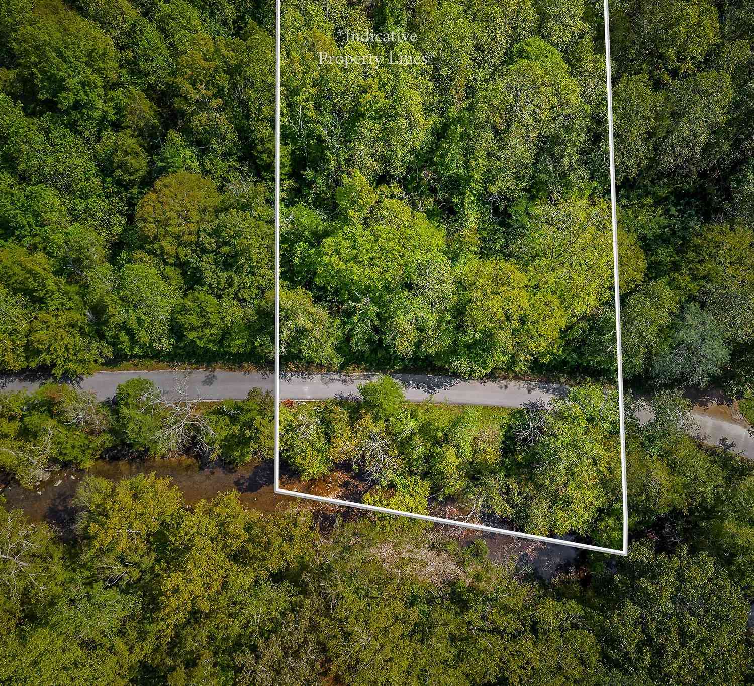 Vacant Land For Sale - 461 Shiloh Rd<br/> Crawford, TN 38554