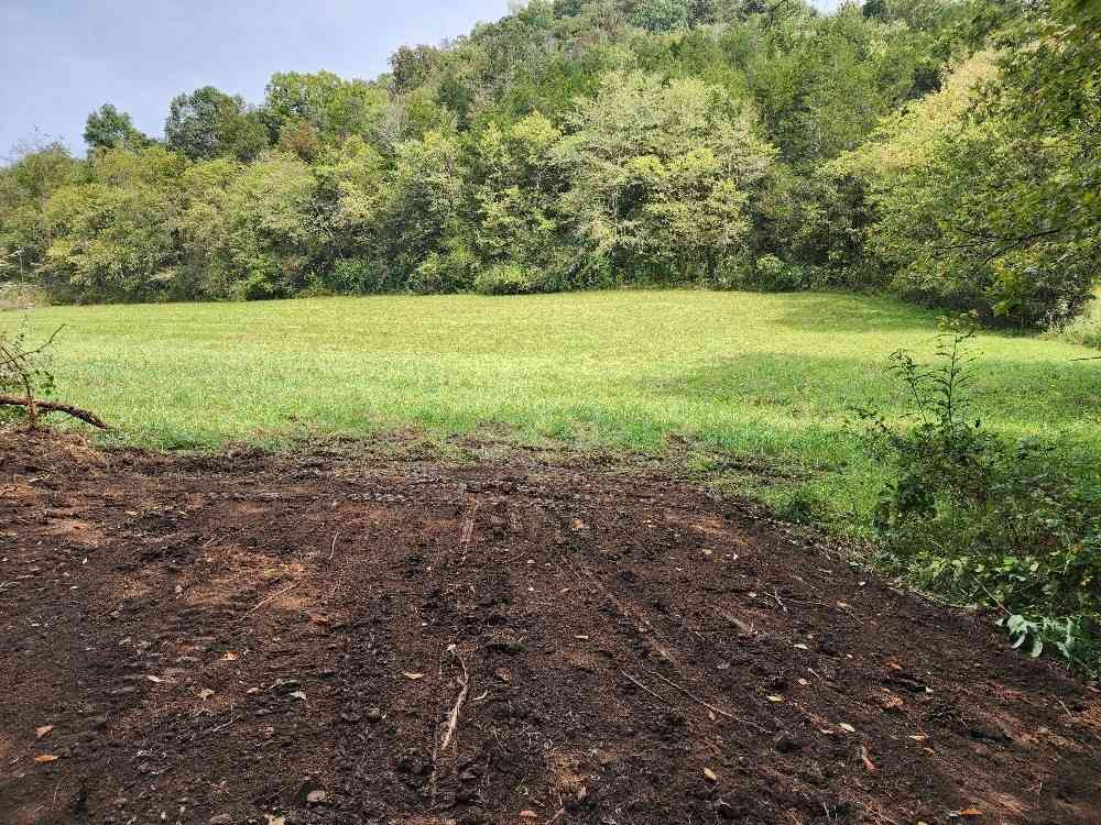 Vacant Land For Sale - Webster Branch Ln<br/> Whitleyville, TN 38588