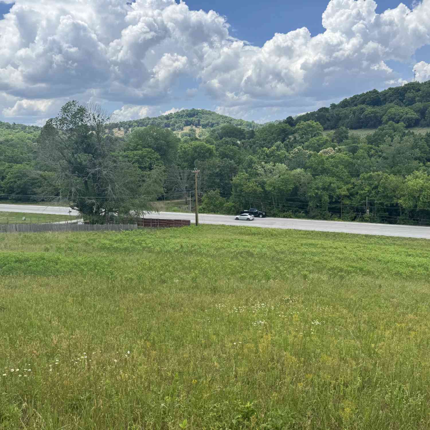 Vacant Land For Sale - Lebanon Hwy<br/> Carthage, TN 37030