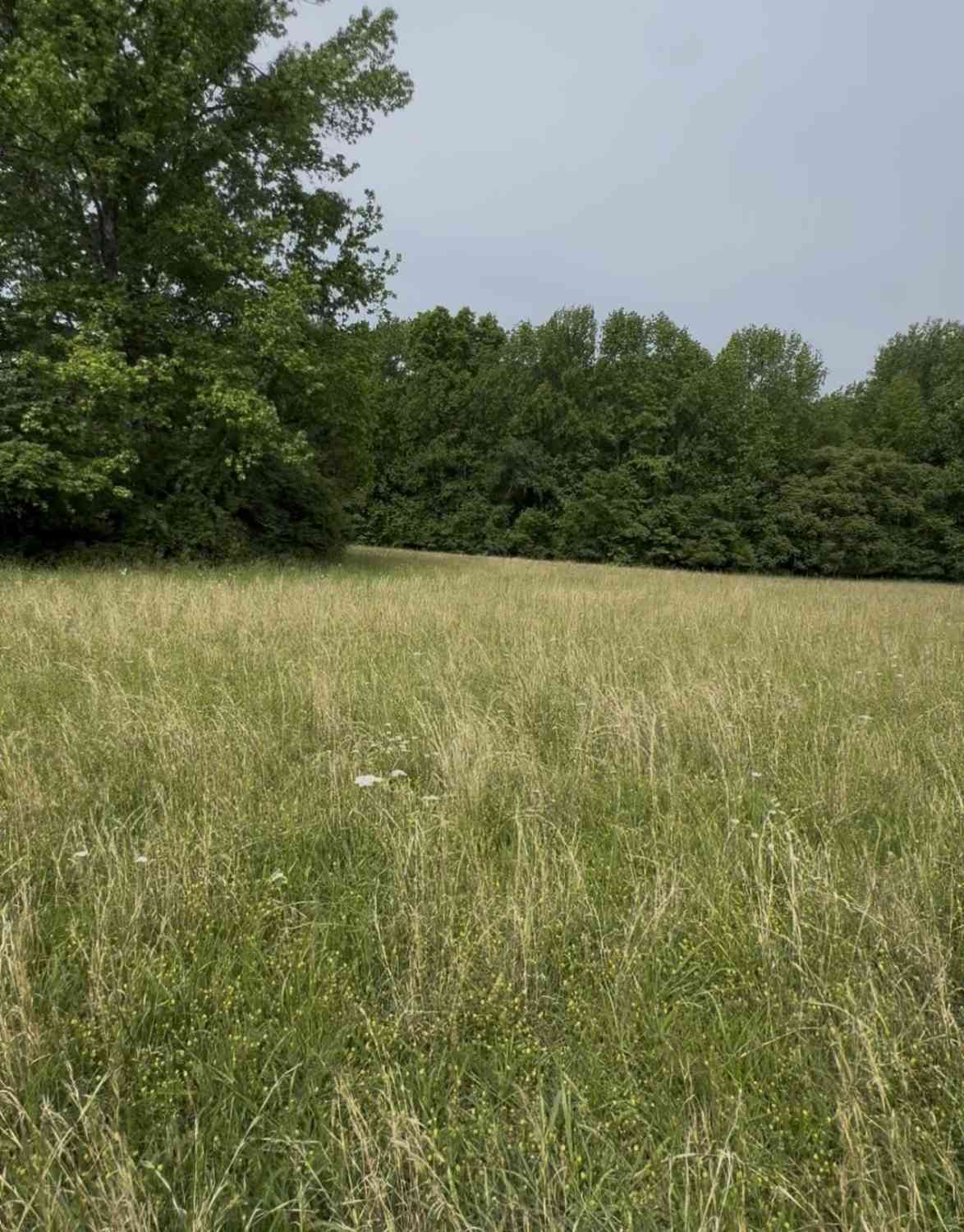 Vacant Land For Sale - Riverview Road<br/> Wilson County County, Mount Juliet, TN 37122