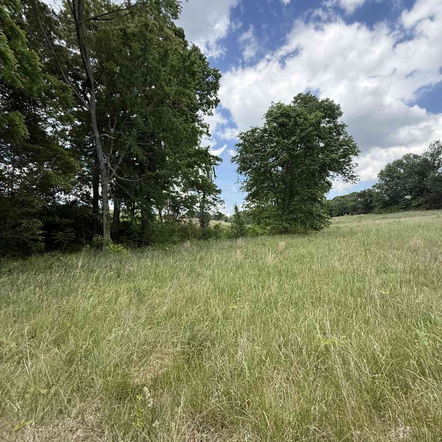 Vacant Land For Sale - Love Rd<br/> Warren County County, McMinnville, TN 37110