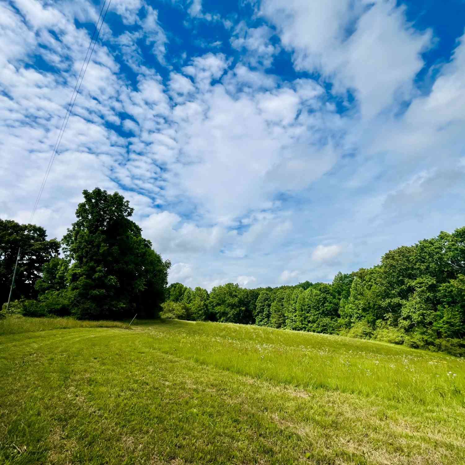 Vacant Land For Sale - 7140 Old Cox Pike<br/> Fairview, TN 37062