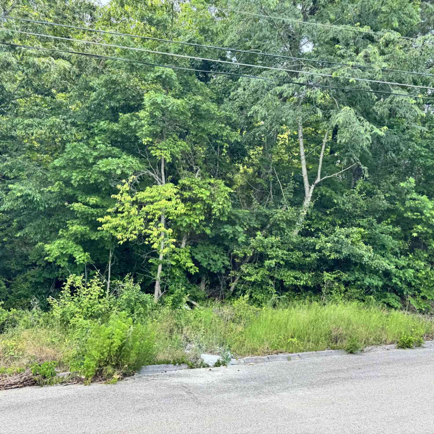 Vacant Land For Sale - 7405 Woodland Bay Drive<br/> Harrison, TN 37341
