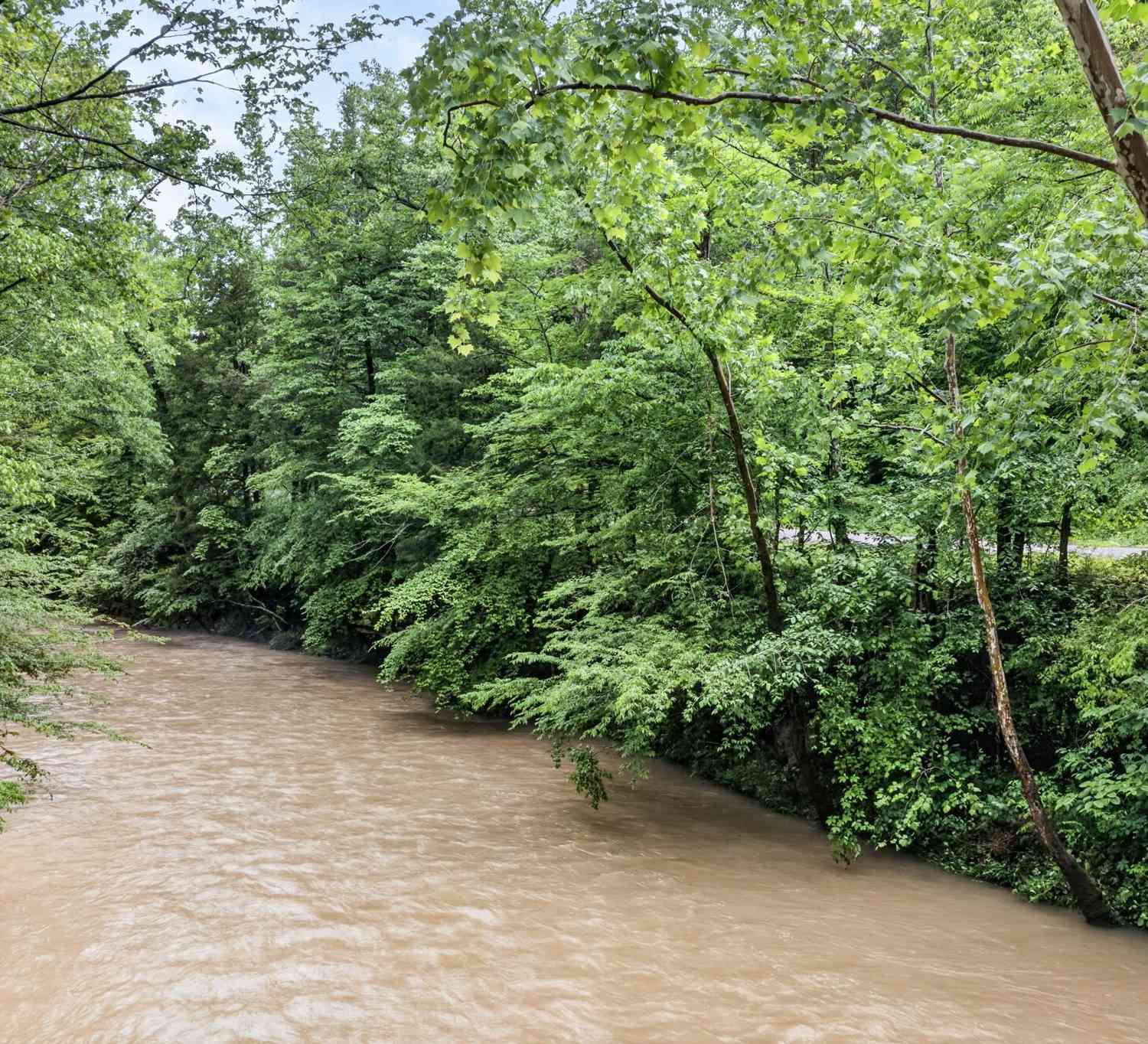 Vacant Land For Sale - 457 Shiloh Rd<br/> Crawford, TN 38554