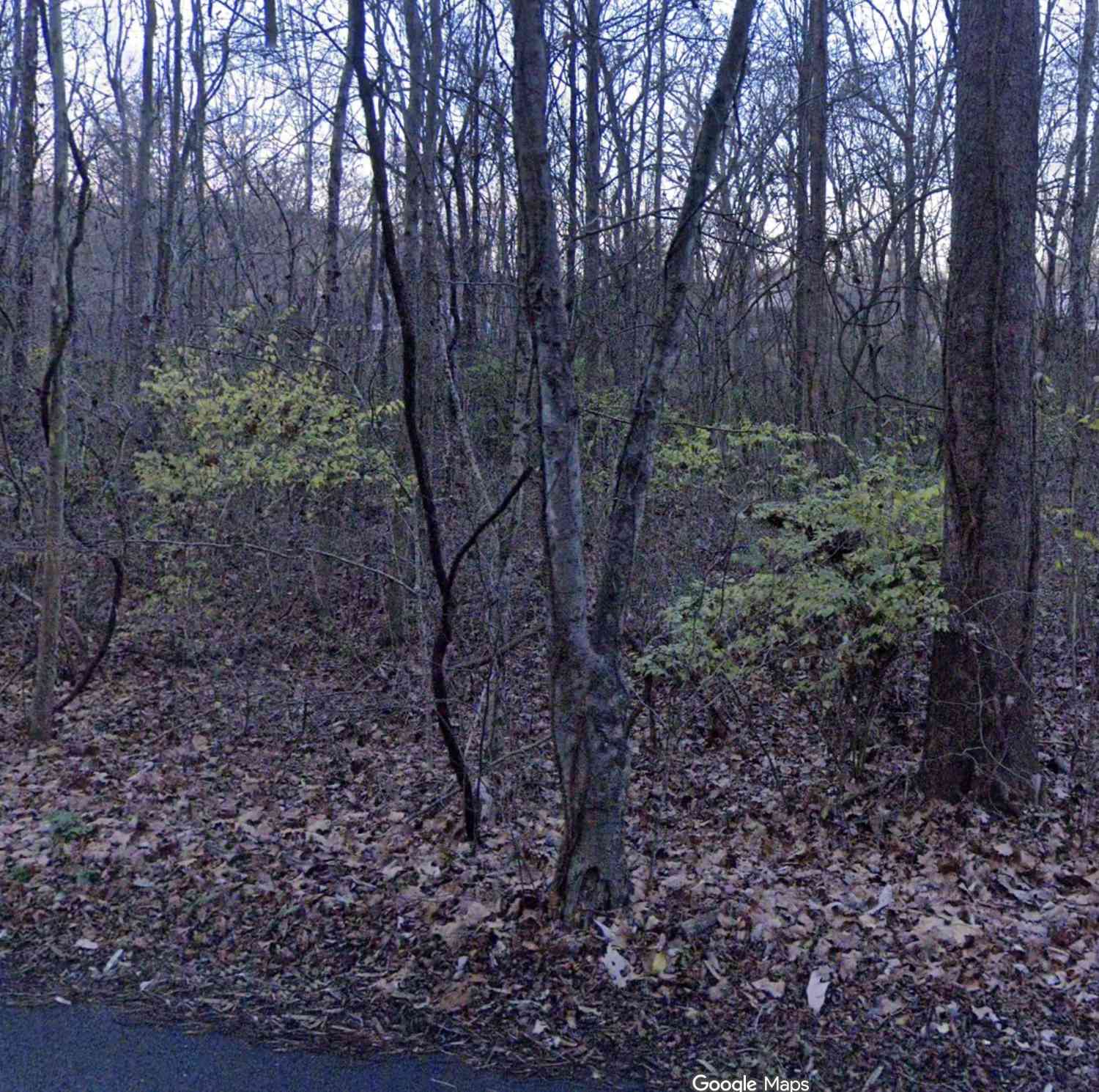 Vacant Land For Sale - 3978 Dry Fork Rd<br/> Whites Creek, TN 37189