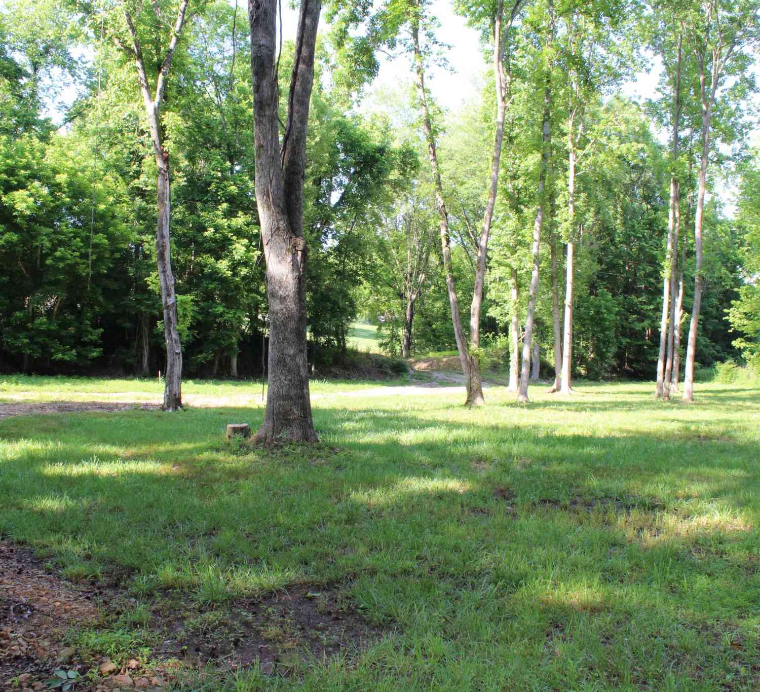 Vacant Land For Sale - 9681 Hwy 147<br/> Stewart, TN 37175