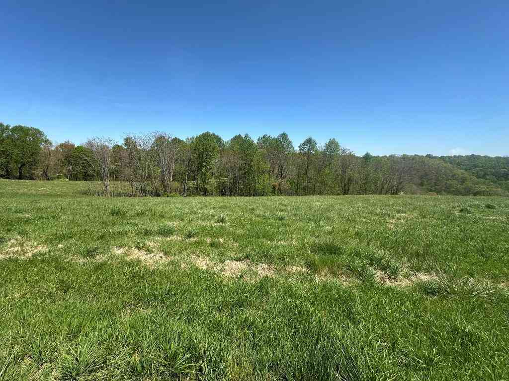 Vacant Land For Sale - H O Allison<br/> Baxter, TN 38544