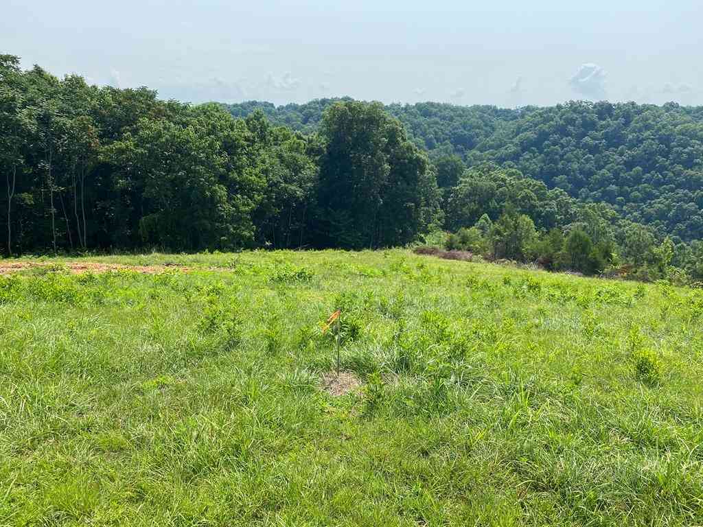 Vacant Land For Sale - H O Allison<br/> Baxter, TN 38544